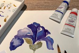  Beginners to Advanced in Watercolour