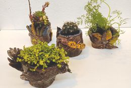  Ceramic Studio: Garden Pot Creatures