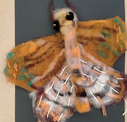  An Eclipse of Felted Moths