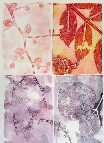  Botanical Monoprinting