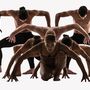  ATAMIRA DANCE COMPANY