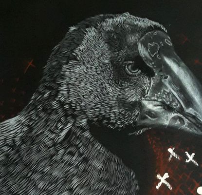  Species Study: Our Magical Manu