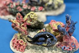  Ceramic Studio: Our Coral Reef Community