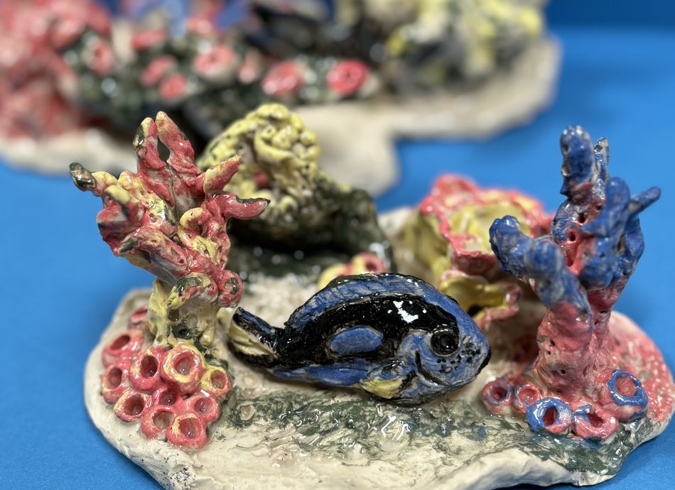  Ceramic Studio: Our Coral Reef Community