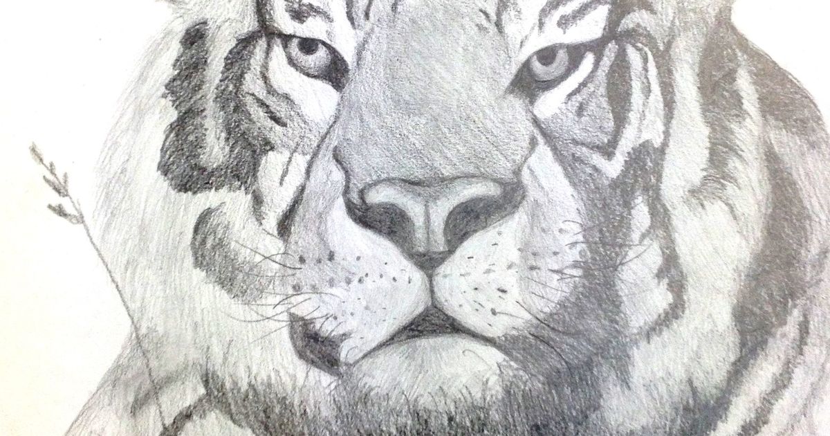 drawing of frock design