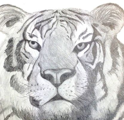  Learn to Draw