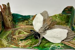  Te Aitanga Pepeke – The Insect World