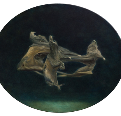  Specularium