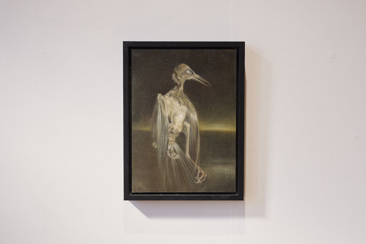  Specularium