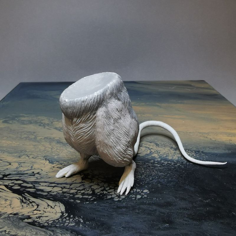 Kelly Zhongni Ren