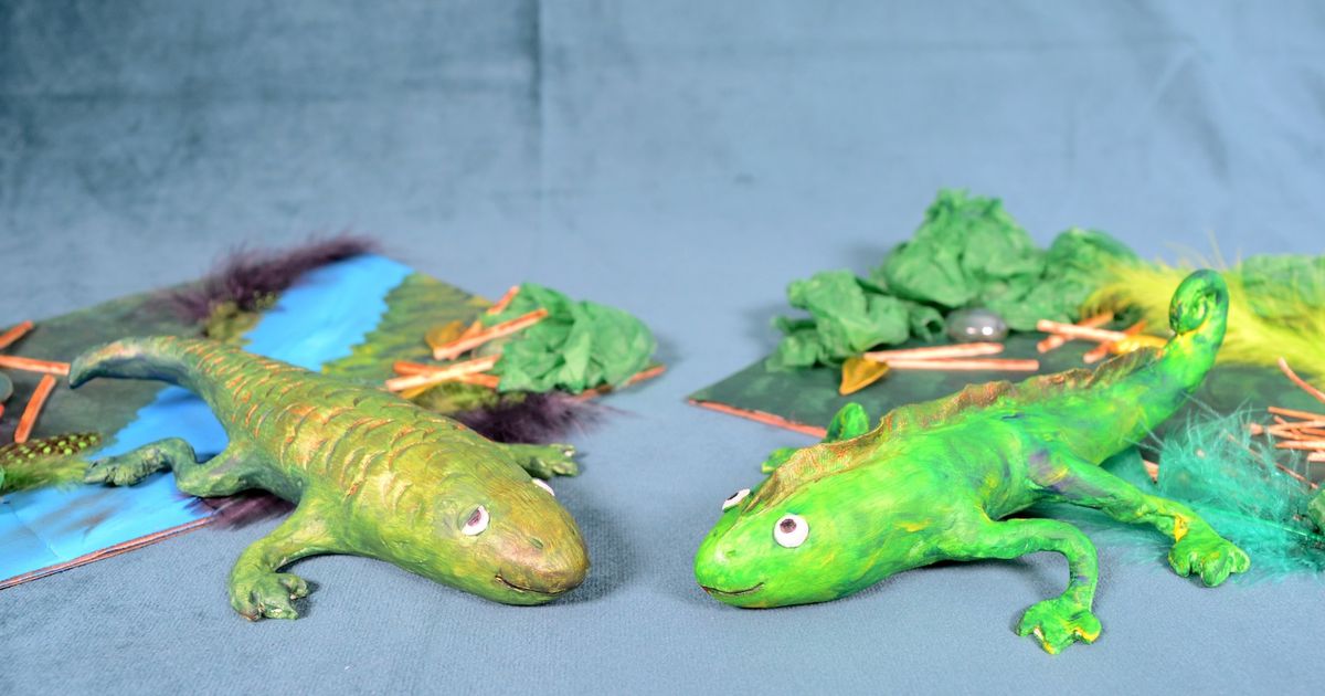 Basking Lizards | Corban Estate Arts Centre