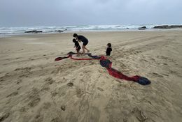  Drop-in Whānau Play Session