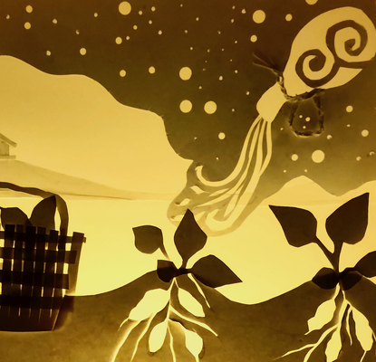  Matariki Shadow Boxes