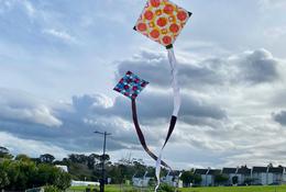  Dance of Patterns - Kites