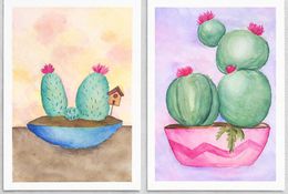  Cactus Colour Splash