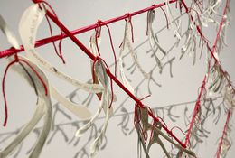  Wishes to Hiwa-i-te-Rangi