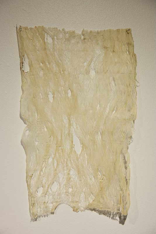  Whetūrangitia