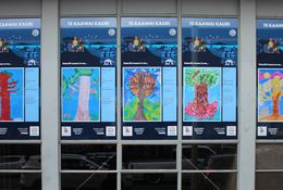  The Vacant Spaces Pop-up Gallery: Kaawai Kauri