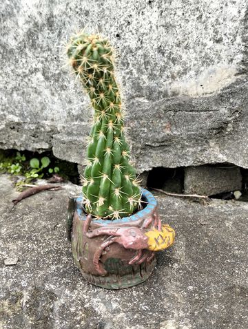  Uku Garden Pots