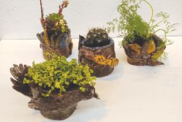  Uku Garden Pots