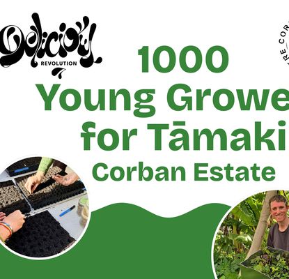  1000 Young Growers for Tāmaki - Corban Estate