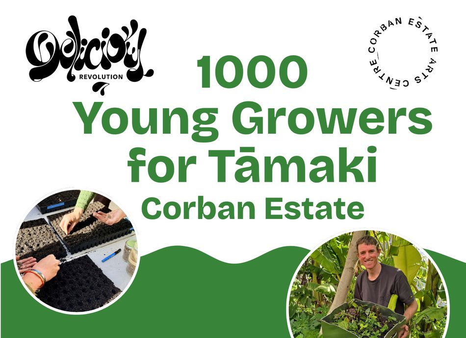  1000 Young Growers for Tāmaki - Corban Estate